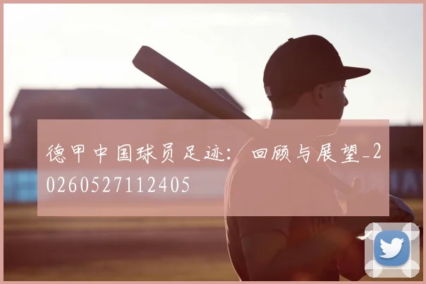 德甲中国球员足迹：回顾与展望_20260527112405