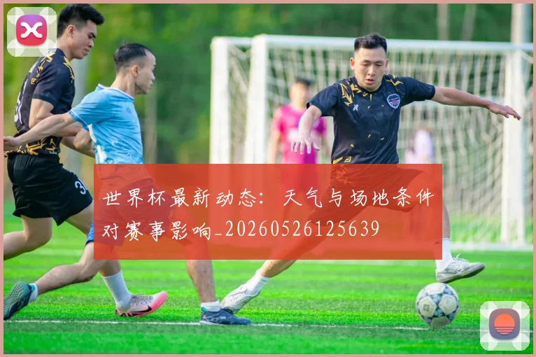 世界杯最新动态：天气与场地条件对赛事影响_20260526125639